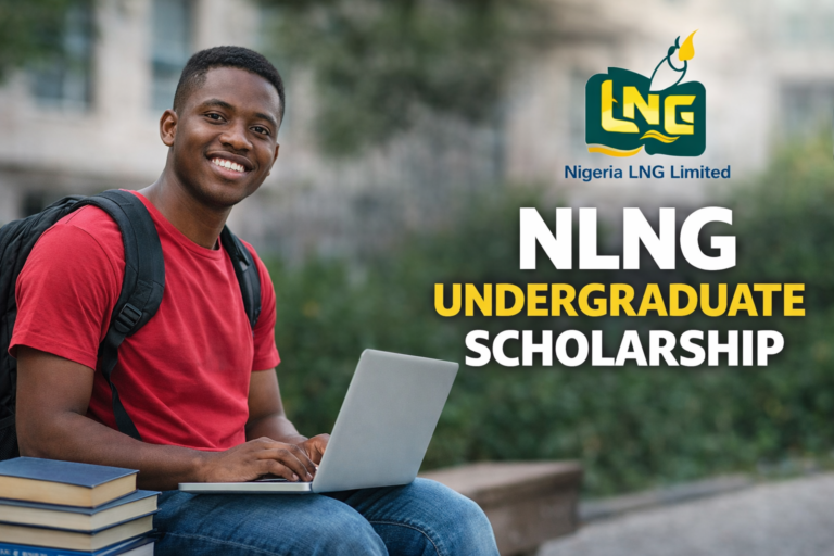 NLNG Undergraduate Scholarship
