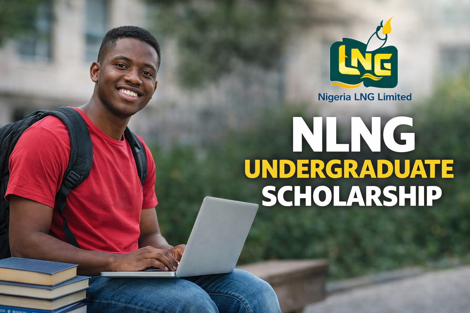 NLNG Undergraduate Scholarship