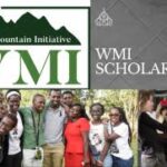 WMI Scholarship