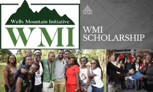 WMI Scholarship