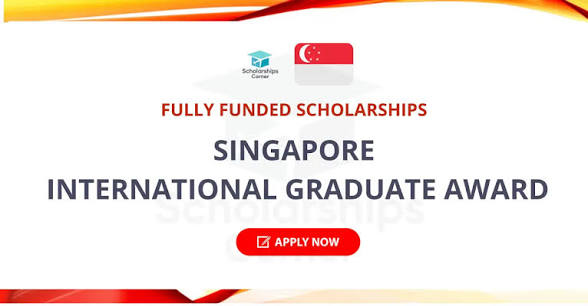 SINGA Scholarship