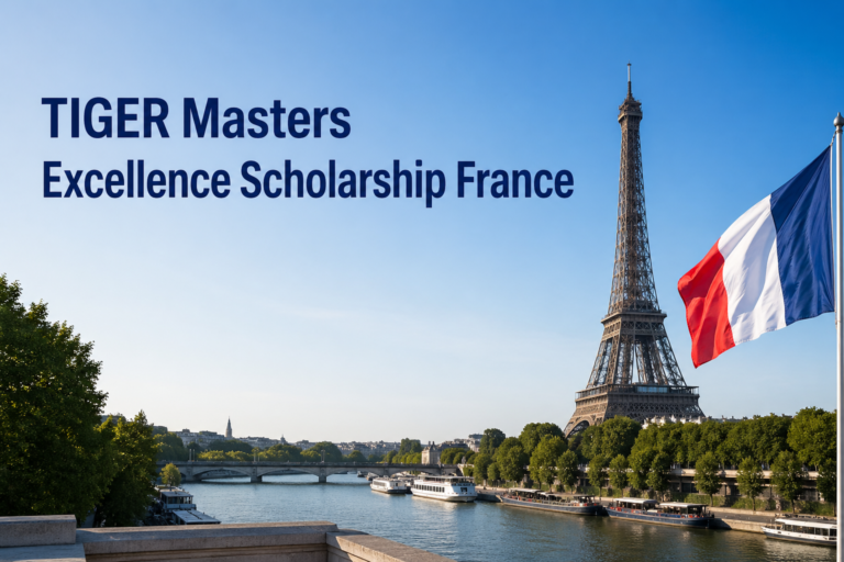 TIGER Master's Excellence Scholarship France