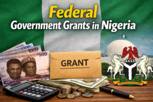 federal government grants in Nigeria
