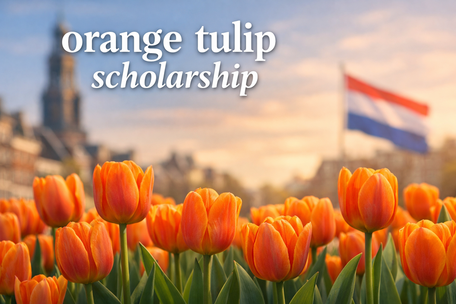 Orange Tulip Scholarship