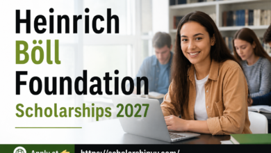 Heinrich Boll Foundation Scholarships