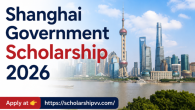 Shanghai Government Scholarship