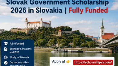Slovak Government Scholarship