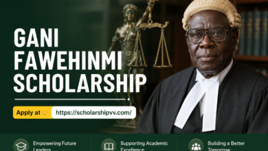Gani Fawehinmi Scholarship