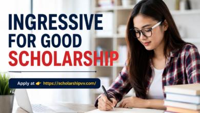 Ingressive for Good Scholarship