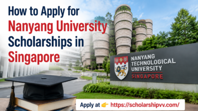 How to Apply for Nanyang University Scholarships