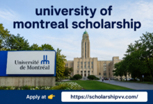 University of Montreal Scholarship