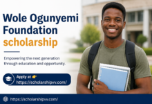 Wole Ogunyemi Foundation Scholarship
