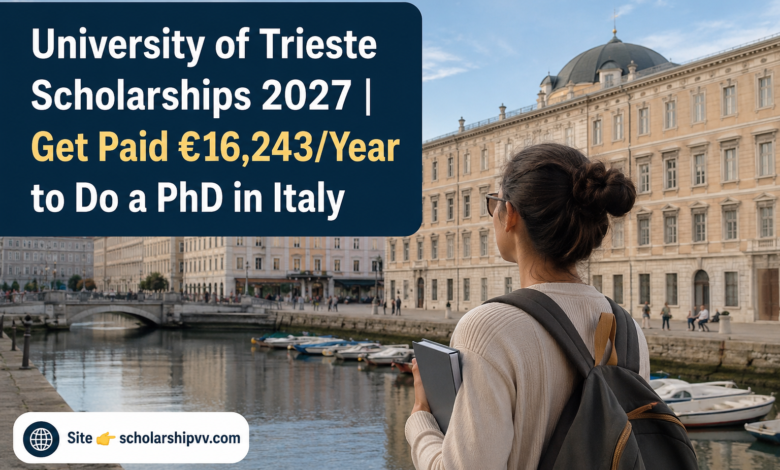 University of Trieste Scholarships